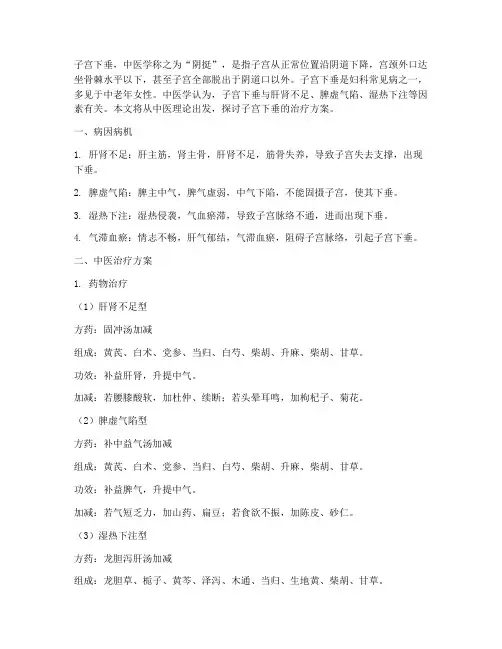 子宫下垂中医方案治疗