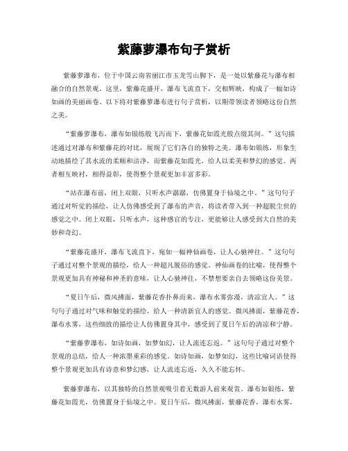 紫藤萝瀑布句子赏析