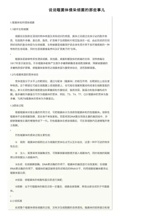 说说噬菌体侵染细菌的那些事儿
