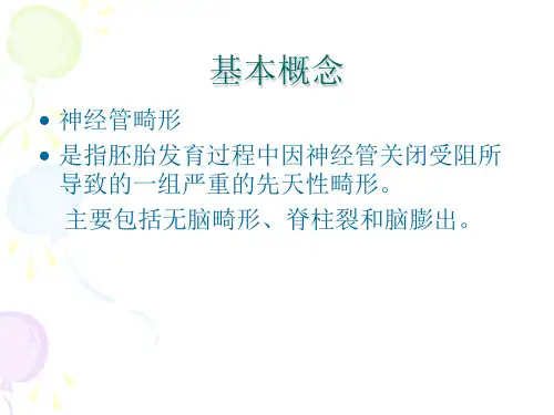 增补叶酸预防神经管缺陷项目培训教案课件
