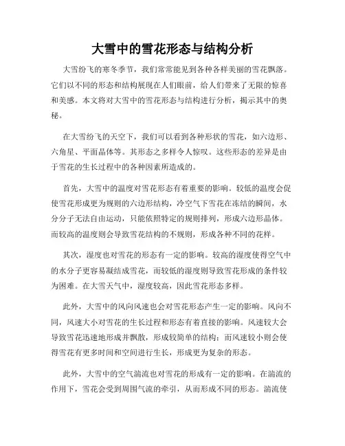 大雪中的雪花形态与结构分析