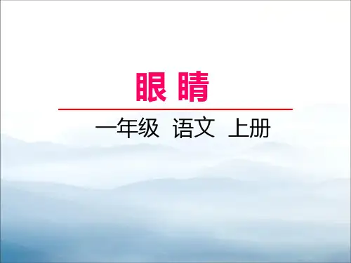 《眼睛》PPT【优秀课件PPT】