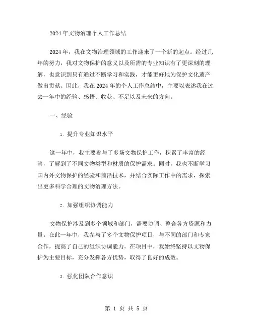 2024年文物治理个人工作总结范文