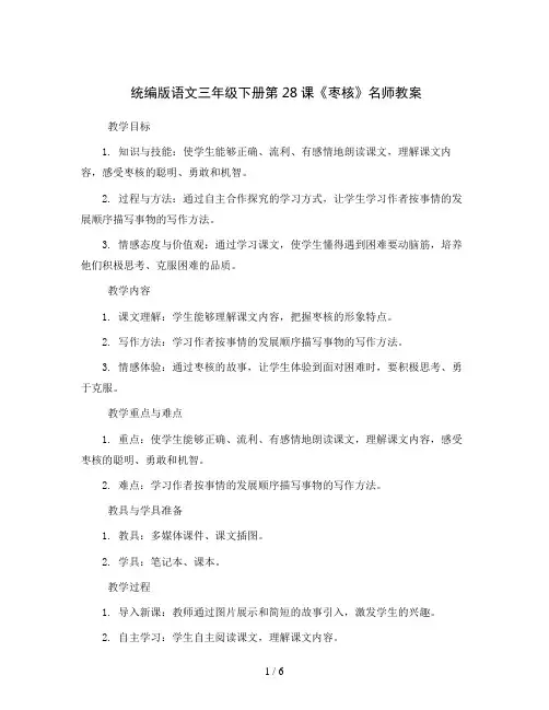 统编版语文三年级下册28 枣核名师教案