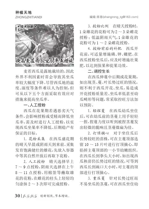 提高麦茬西瓜坐瓜率五措施