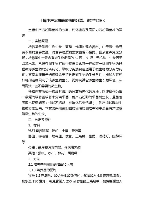 土壤中产淀粉酶菌株的分离、鉴定与纯化