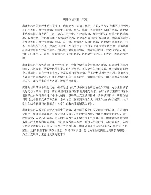 鹰计划培训什么玩意