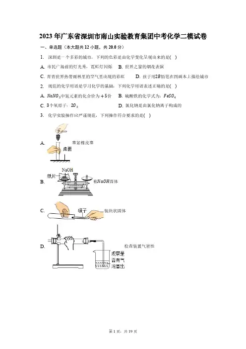 2023年广东省深圳市南山实验教育集团中考化学二模试卷(含解析)