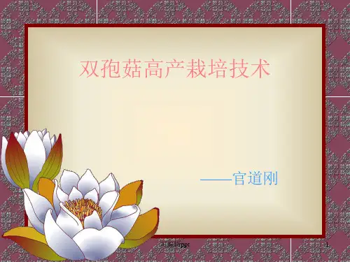 双孢菇高产栽培技术