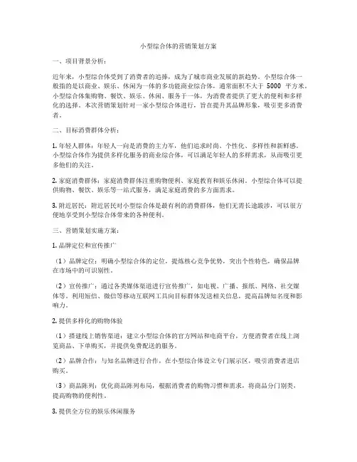 小型综合体的营销策划方案
