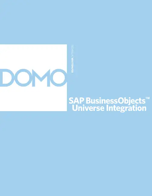 SAP BusinessObjects Universe与Domo高级可视化集成技术白皮书说明书