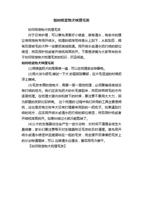 如何给宠物犬梳理毛发