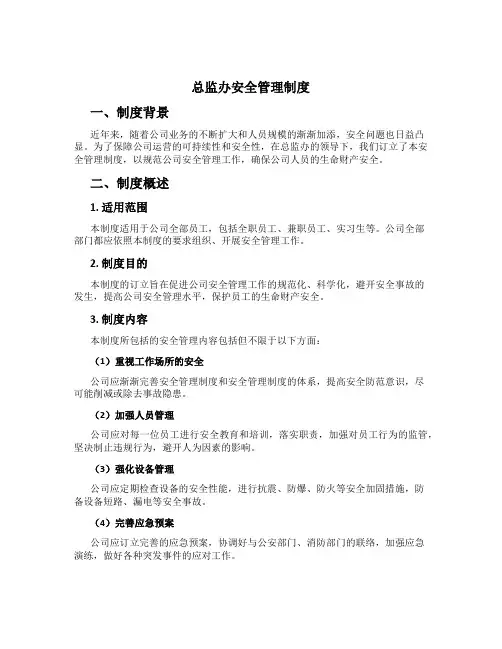 总监办安全管理制度[1]