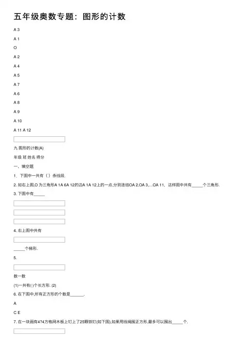 五年级奥数专题：图形的计数