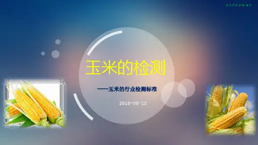 玉米的检测标准0812