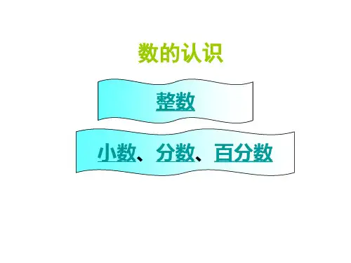 《数与代数》总复习PPT