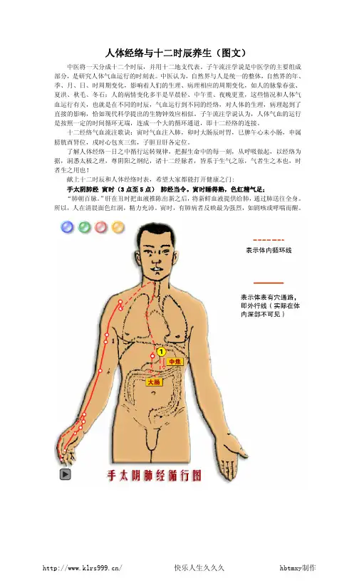 人体经络与十二时辰养生 附图