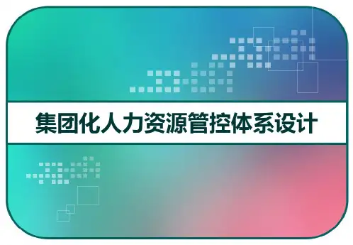 大型集团化人力资源管控体系设计方案