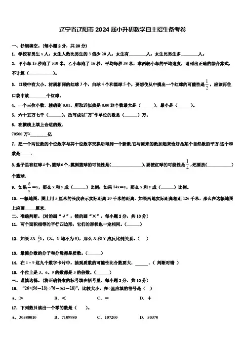 辽宁省辽阳市2024届小升初数学自主招生备考卷含解析