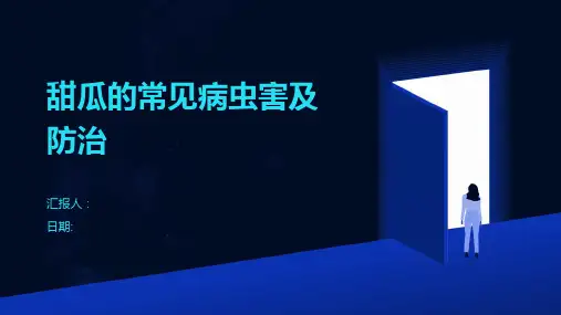 甜瓜的常见病虫害及防治