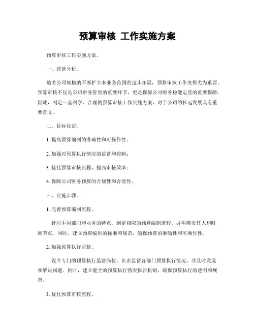 预算审核 工作实施方案