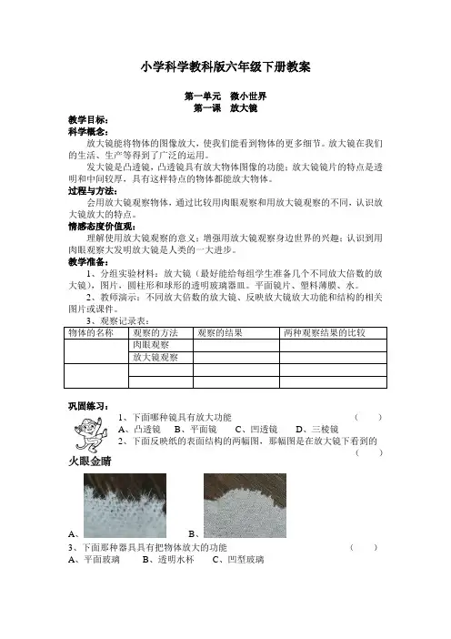 六年级下册科学教案  第一单元 教科版