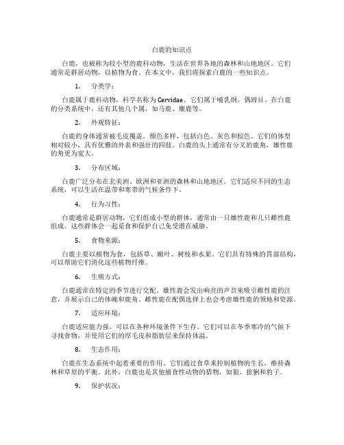 白鹿的知识点