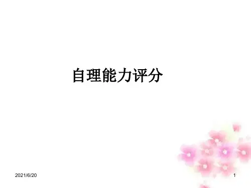 自理能力评分