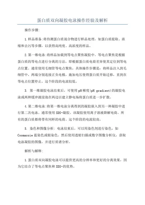 蛋白质双向凝胶电泳操作经验及解析