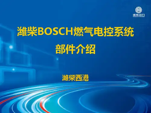 BOSCH燃气电控系统部件介绍