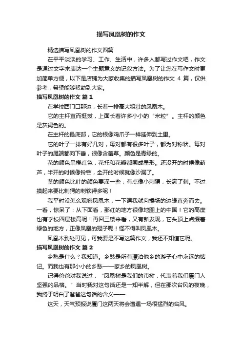 描写凤凰树的作文