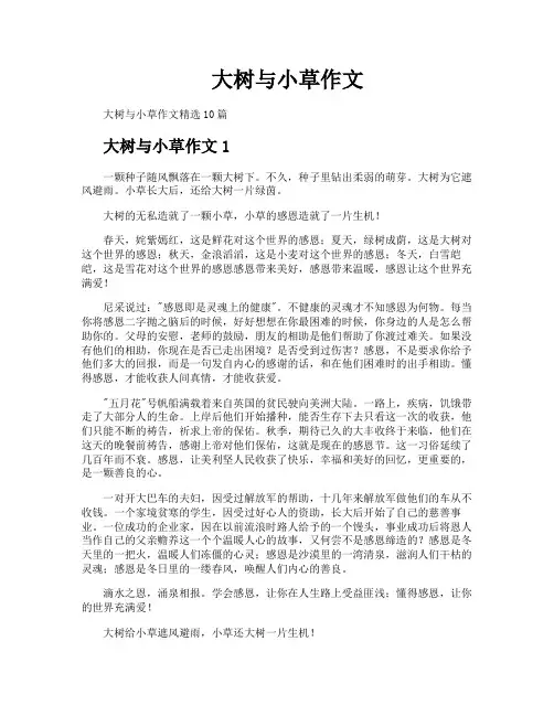 大树与小草作文