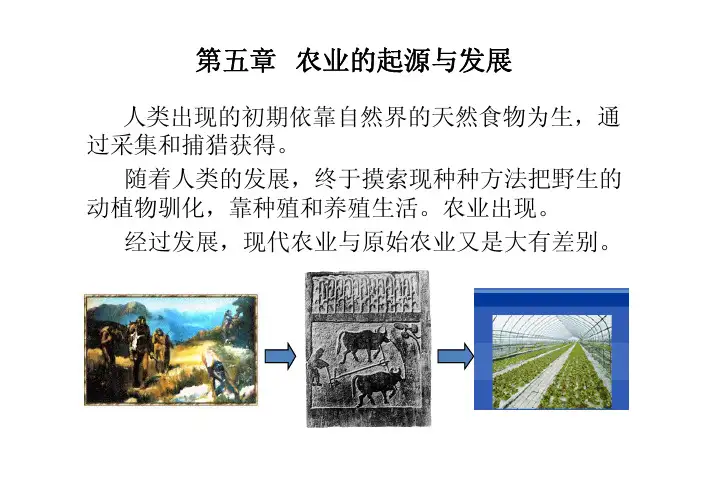 人文地理与经济地理学—第五章  农业的起源与发展
