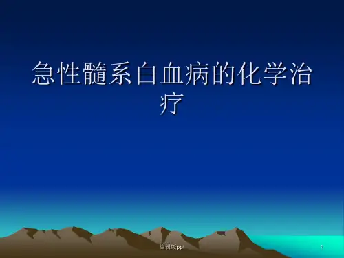 急性髓系白血病的PPT课件