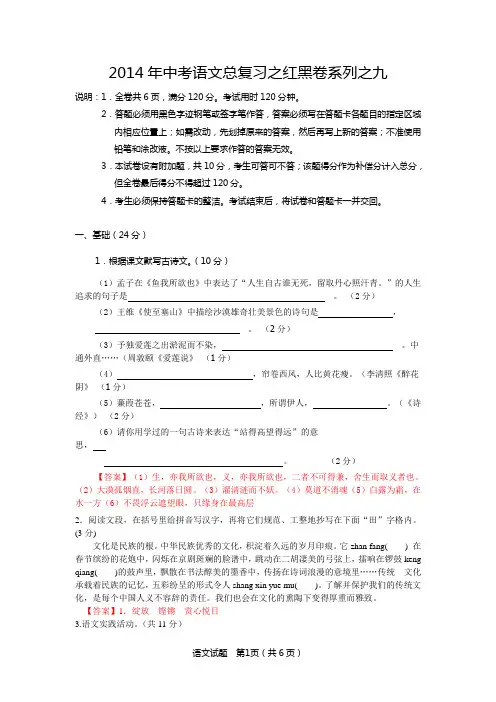 2014年中考语文总复习之红黑卷系列之九