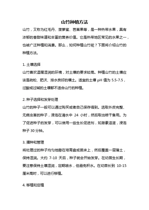 山竹种植方法
