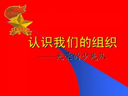 少先队知识四(4)