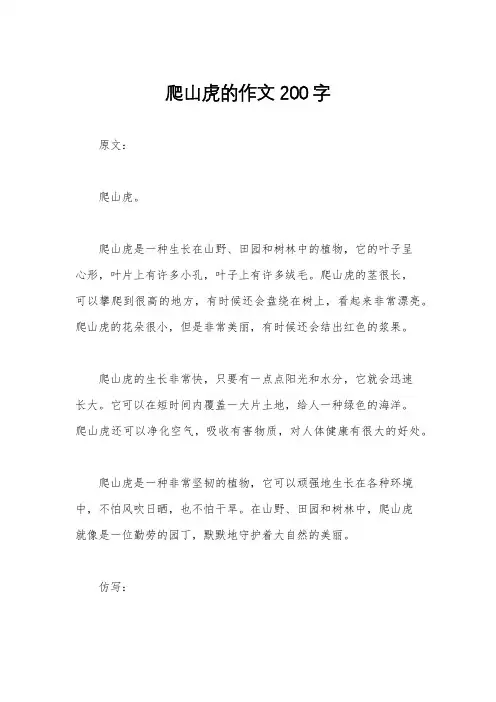 爬山虎的作文200字