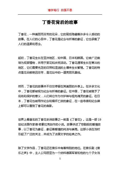丁香花背后的故事