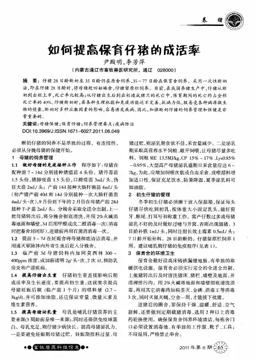 如何提高保育仔猪的成活率