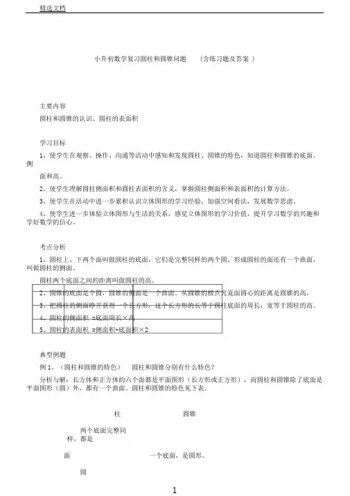 小升初数学总结复习计划圆柱及圆锥问题含总结复习计划练试题及答案