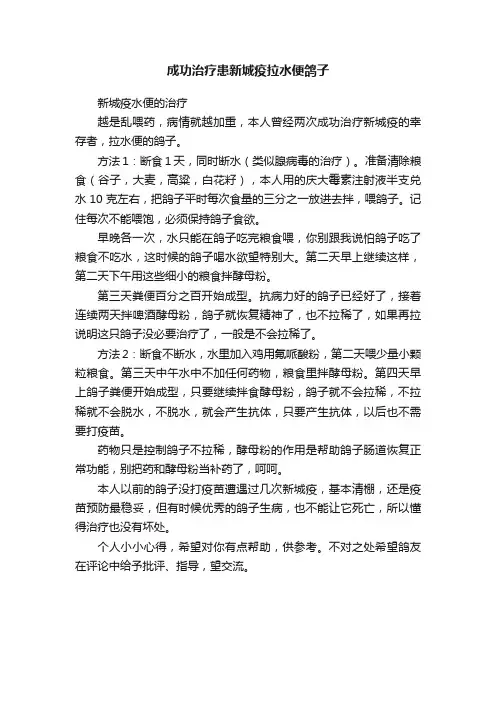 成功治疗患新城疫拉水便鸽子