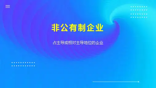 非公有制企业