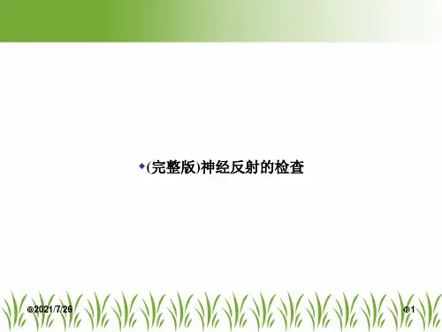 (完整版)神经反射的检查