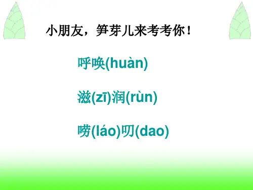 笋芽儿PPT课件