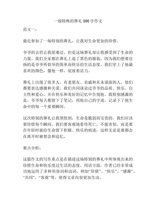 一场特殊的葬礼800字作文