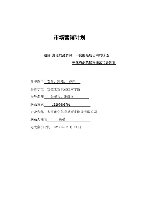 宁化府营销策划书