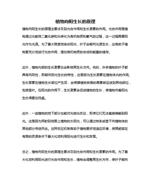 植物向阳生长的原理