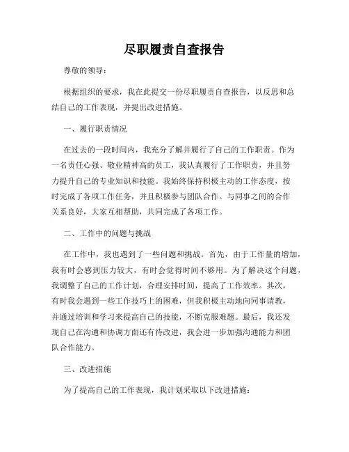 尽职履责自查报告
