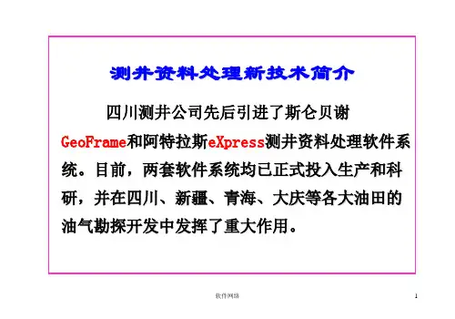 测井常用软件说明[互联网业]